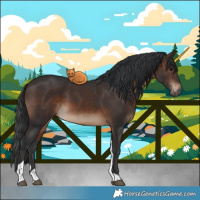 Horse Color:Brown Tobiano Rabicano