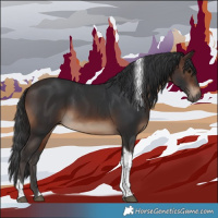 Horse Color:Brown Tobiano Rabicano 