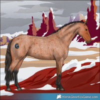 Horse Color:Bay Roan 