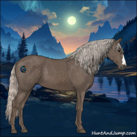 Horse Color:Silver Black 