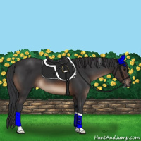 Horse Color:Brown Tobiano Rabicano 