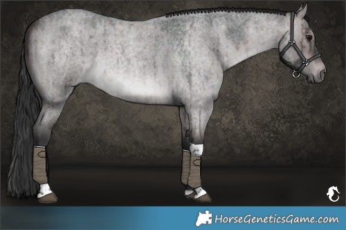 Horse Color:Platinum Brown Roan Dun Tobiano Rabicano Brindle 