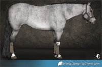 Horse Color:Platinum Brown Roan Dun Tobiano Rabicano Brindle 