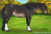 Horse Color:Brown Tobiano Rabicano 