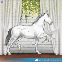 Horse Color:Brown Tobiano Snowcap Rabicano 
