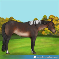 Horse Color:Brown Tobiano Rabicano
