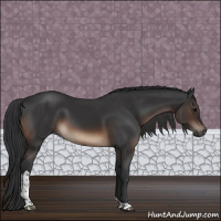 Horse Color:Brown Tobiano Rabicano