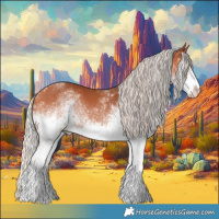 Horse Color:White Spotted Silver Bay Sabino Rabicano 