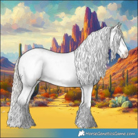 Horse Color:Silver Bay Sabino Appaloosa Rabicano 