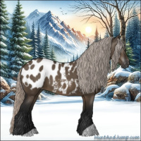 Horse Color:Gray Silver Brown Roan Dun Appaloosa 