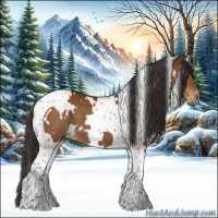 Horse Color:White Spotted Buckskin Tobiano 