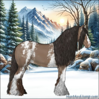 Horse Color:White Spotted Liver Red Dun Appaloosa 