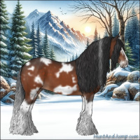 Horse Color:White Spotted Brown Splash Frame 