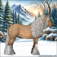 Horse Color:Silver Buckskin Roan 