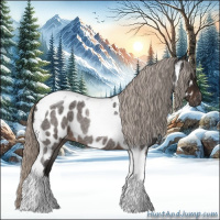 Horse Color:Gray Silver Brown Roan Tobiano Appaloosa Rabicano 