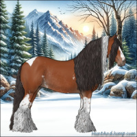 Horse Color:White Spotted Bay Tobiano Rabicano 