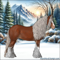 Horse Color:White Spotted Silver Bay Tobiano Appaloosa Rabicano 