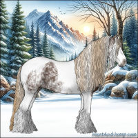 Horse Color:Gray White Spotted Chestnut Tobiano 