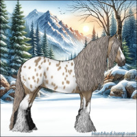 Horse Color:Gray White Spotted Silver Brown Dun Appaloosa 