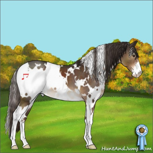 Horse Color:White Spotted Liver Chestnut Sabino 