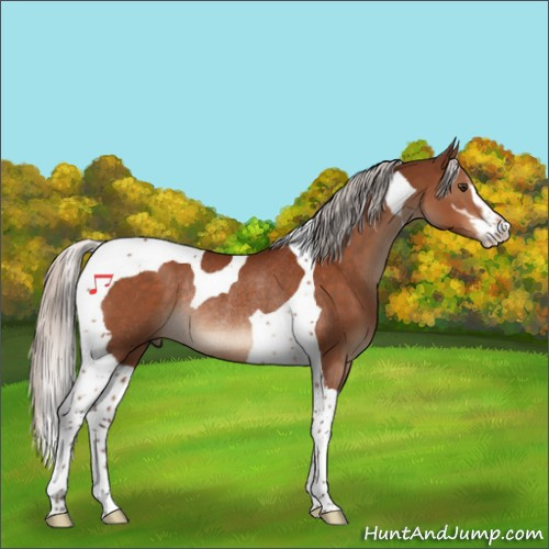 Horse Color:Silver Brown Sabino Tobiano Rabicano 