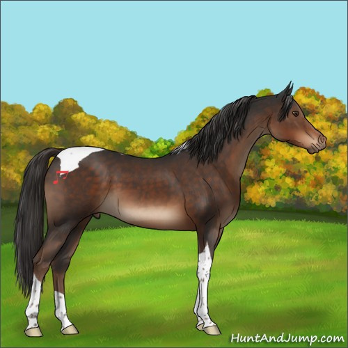 Horse Color:Liver Chestnut Tobiano 