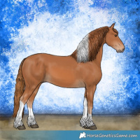 Horse Color:Chestnut Tobiano