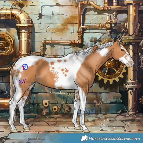 Horse Color:Chestnut Splash Tobiano