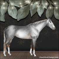 Horse Color:Gray Chocolate Palomino Roan Splash 