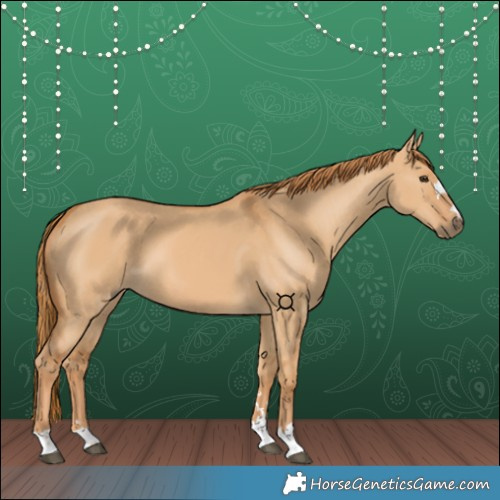 Horse Color:Red Dun