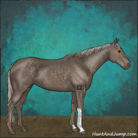 Horse Color:Silver Black 