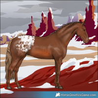 Horse Color:Chestnut Blanket 
