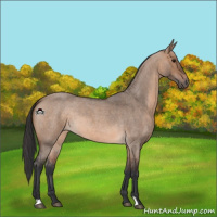 Horse Color:Brown Roan Dun 