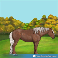 Horse Color:Silver Black 