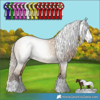 Horse Color:Gray Chocolate Palomino Dun Splash 