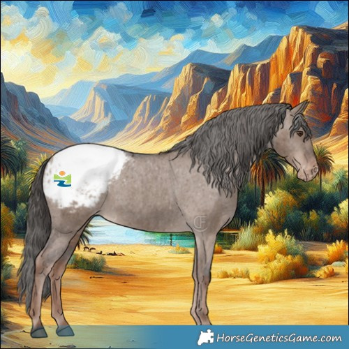 Horse Color:Liver Red Dun Appaloosa Brindle 