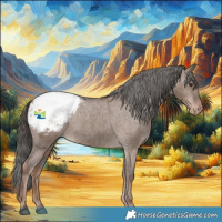 Horse Color:Liver Red Dun Appaloosa Brindle 