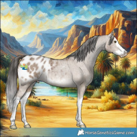Horse Color:Liver Red Dun Splash Appaloosa Brindle 
