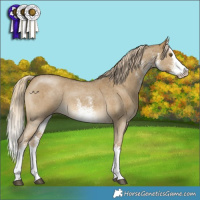 Horse Color:White Spotted Chocolate Palomino Dun Mushroom Splash 