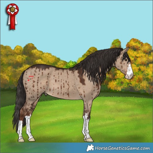 Horse Color:Liver Red Dun Brindle 