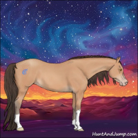 Horse Color:Amber Champagne 