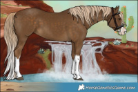 Horse Color:Chocolate Palomino Splash 