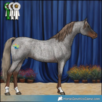 Horse Color:Liver Red Roan 