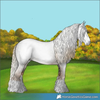 Horse Color:Gray Chocolate Palomino Splash 