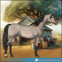Horse Color:Bay Roan Dun 