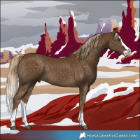 Horse Color:Chocolate Palomino Splash
