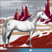 Horse Color:Gray Black 