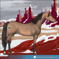 Horse Color:Bay Dun 