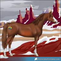 Horse Color:Chestnut 