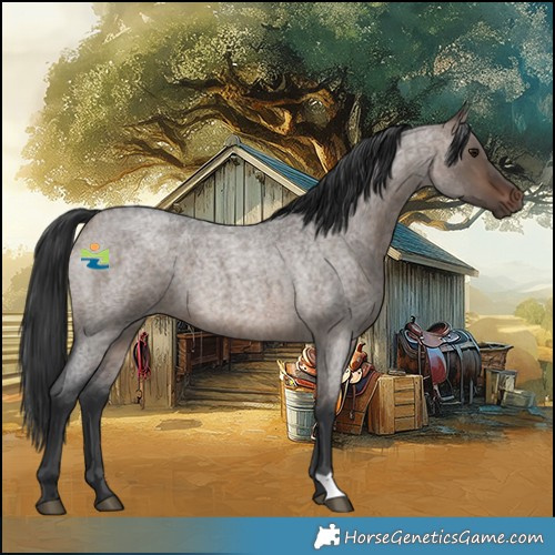 Horse Color:Brown Roan Dun 